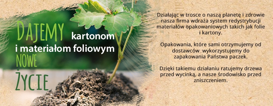 Dajemy kartonom nowe życie!